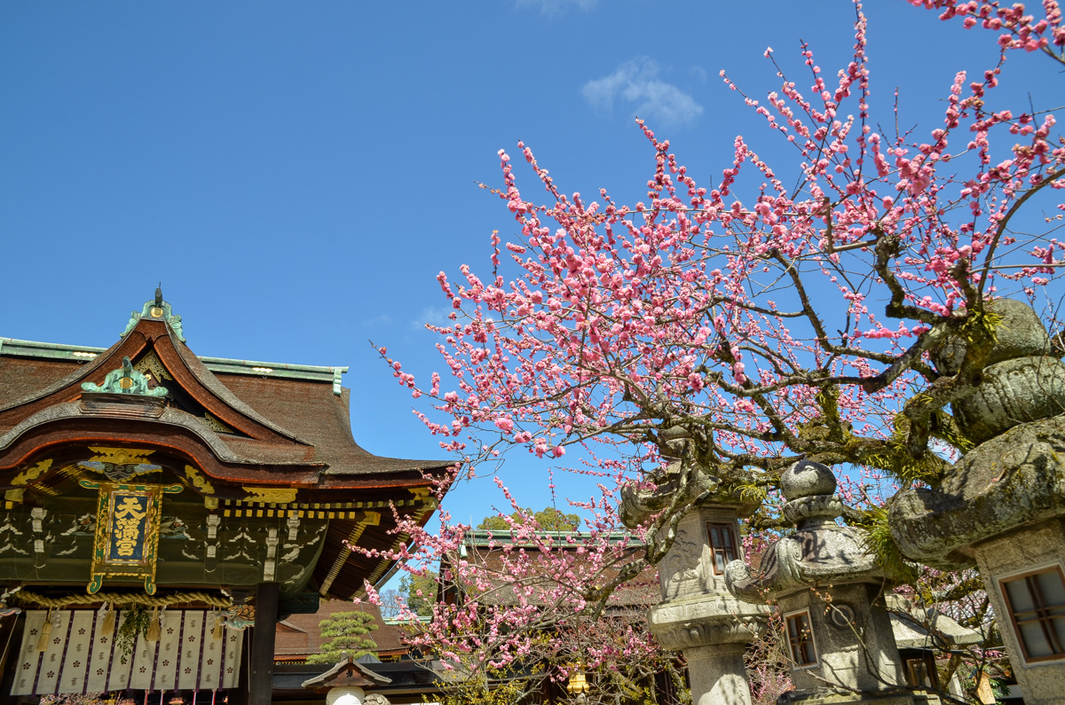 京都・春